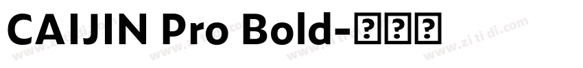 CAIJIN Pro Bold字体转换